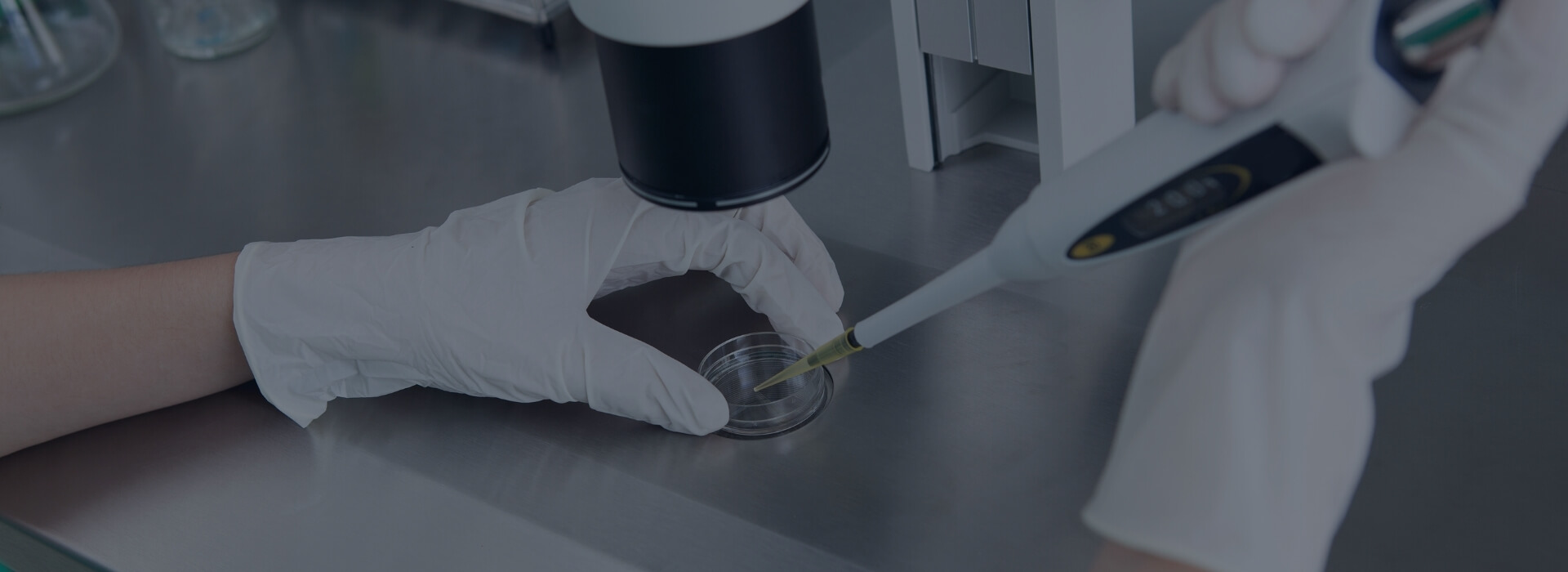 prima-analysis-diagnostiko-kentro